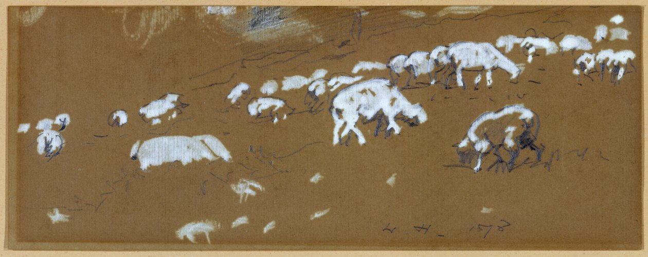 Ovelha, 1878 (grafite e guache branco sobre papel) de Winslow Homer