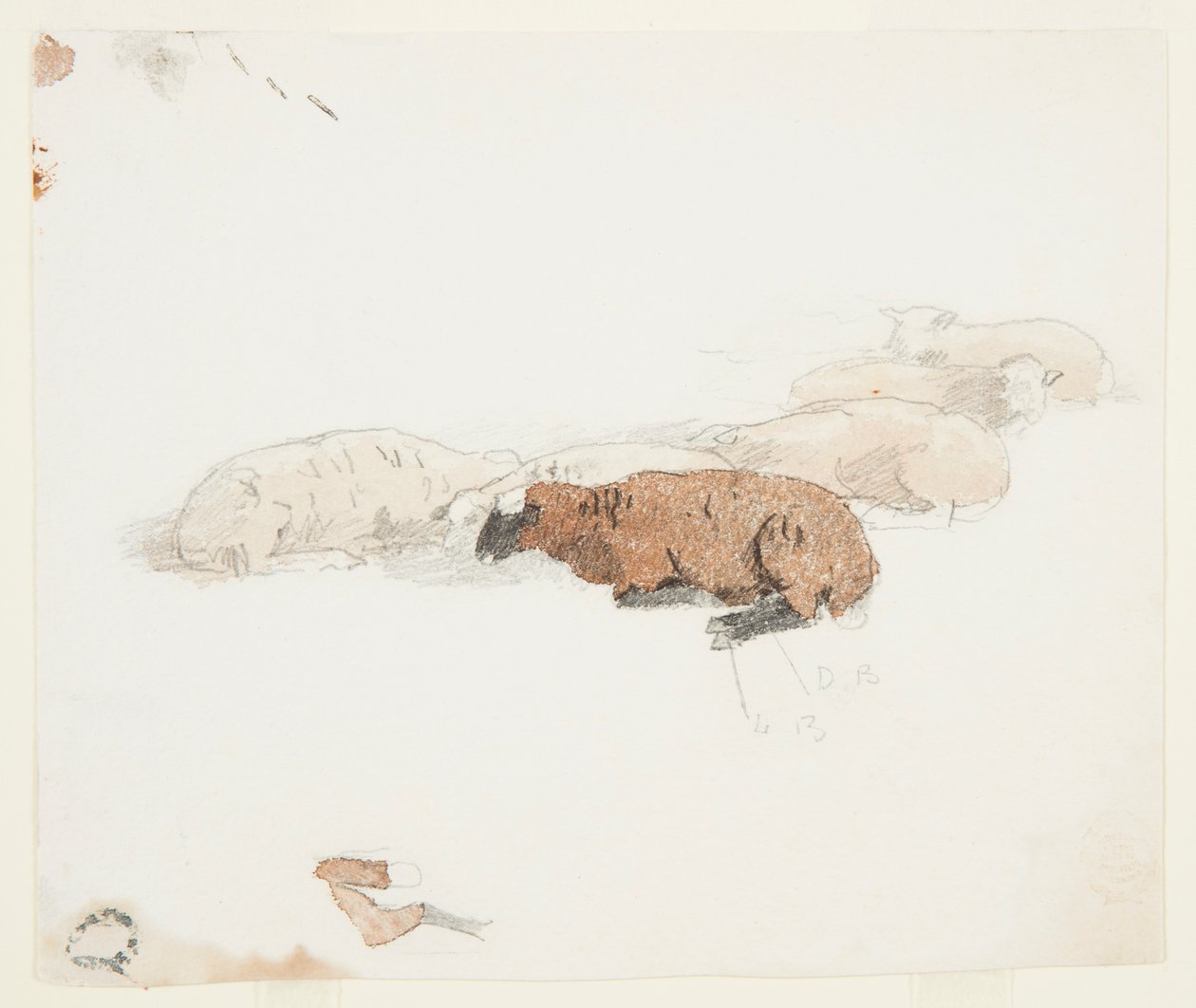 Ovelhas Descansando de Winslow Homer
