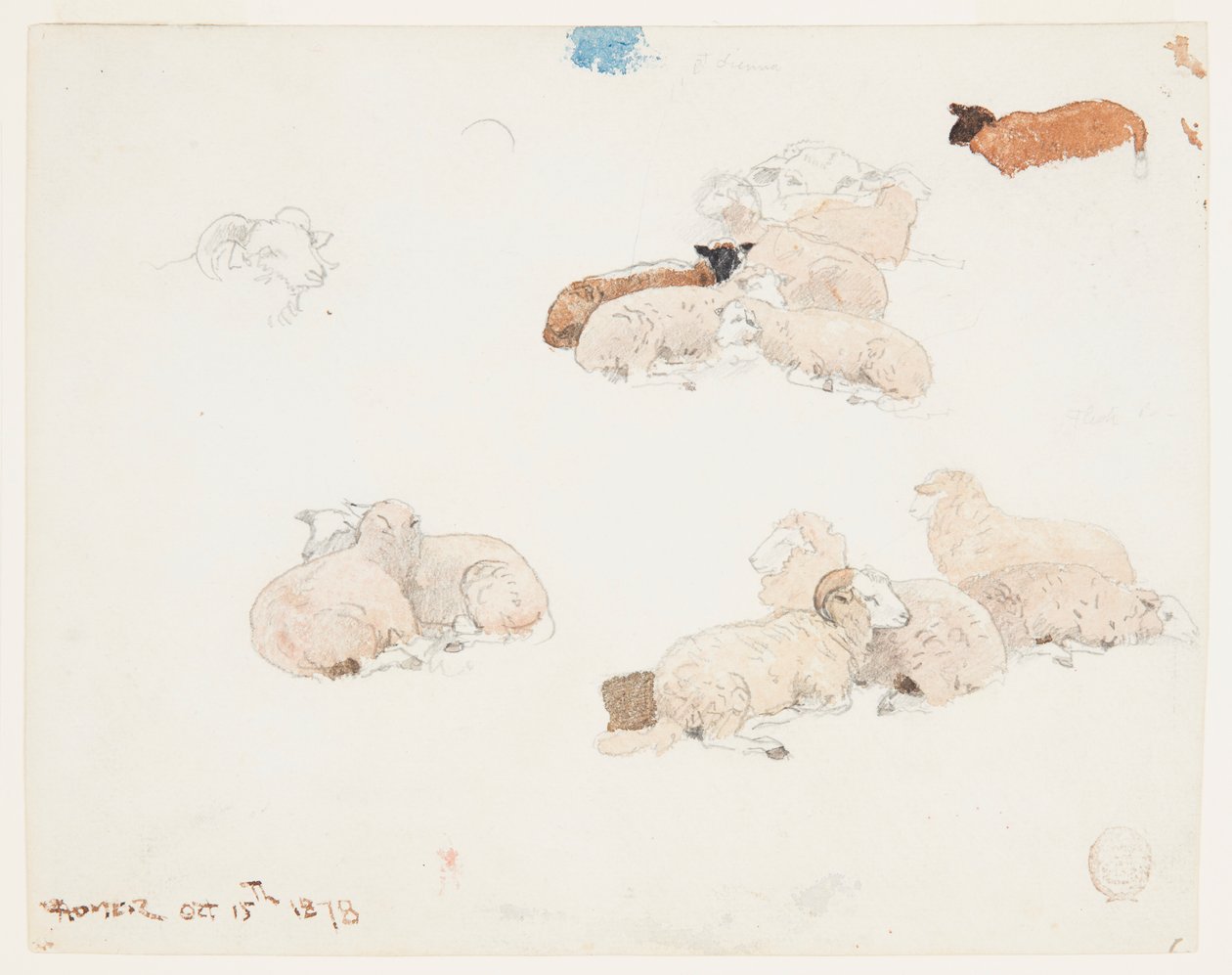 Ovelhas Descansando de Winslow Homer