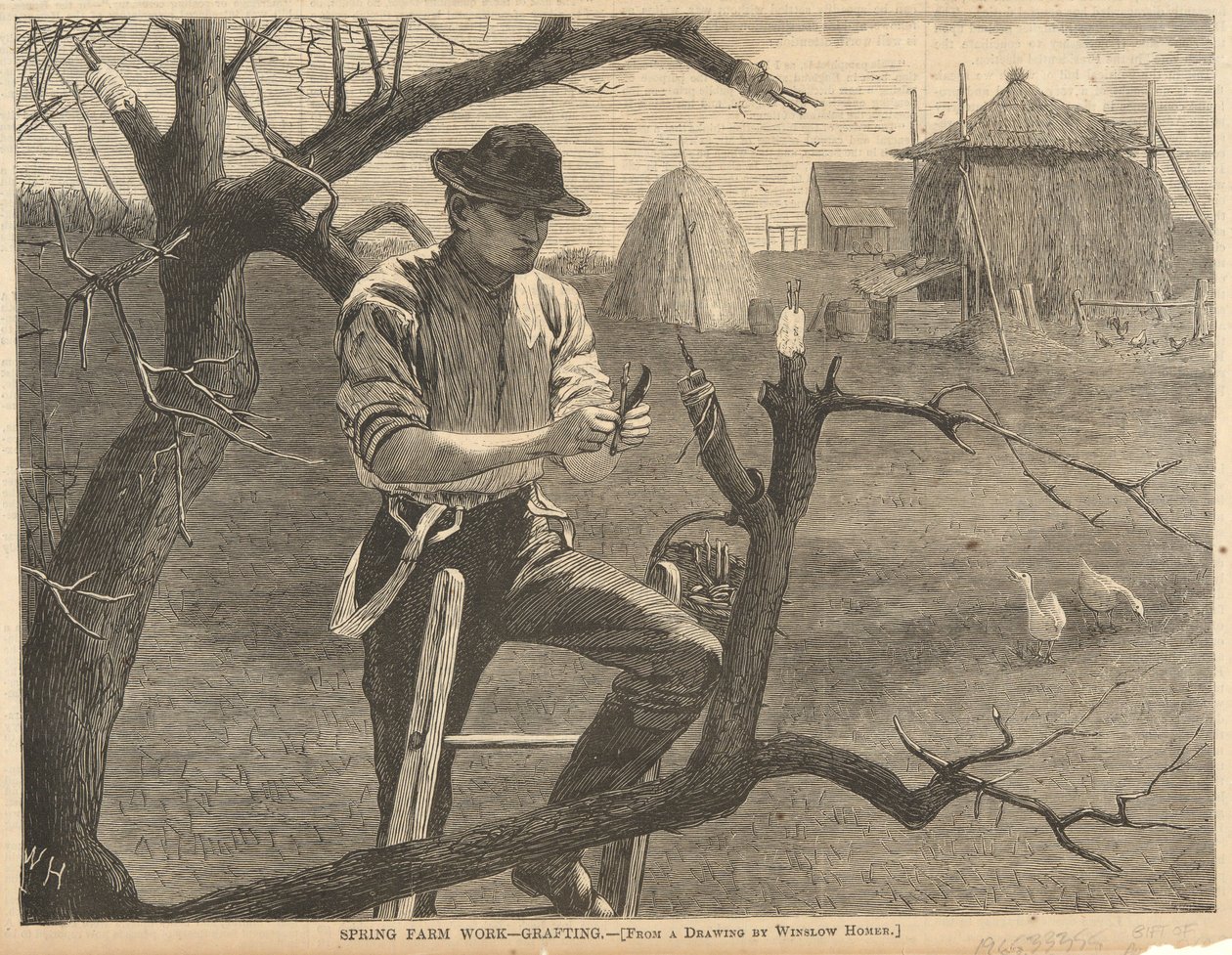 Trabalho agrícola da primavera de Winslow Homer