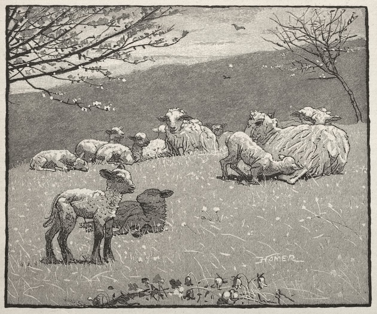 Cordeiro de Primavera de Winslow Homer