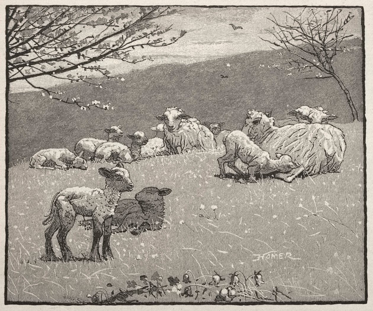Primavera Cordeiro, 1880. de Winslow Homer