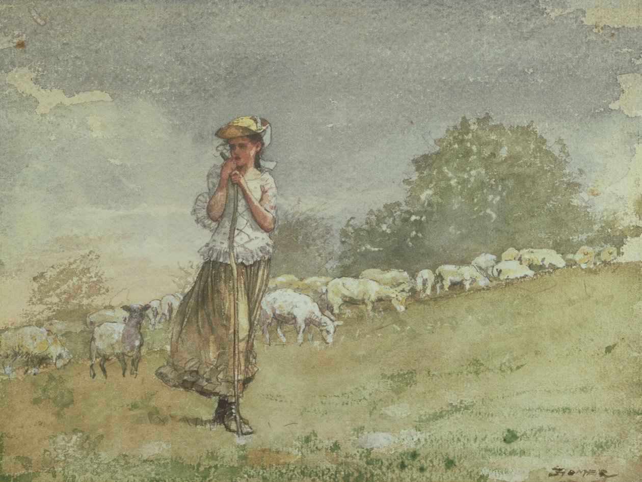 Cuidando dos Carneiros, Fazenda Houghton, c.1878-79 de Winslow Homer