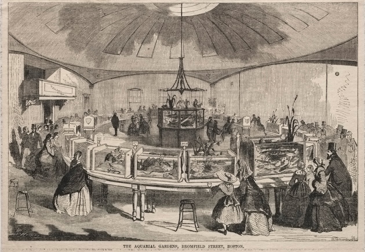 Jardins Aquariais, Bromfield Street, Boston de Winslow Homer
