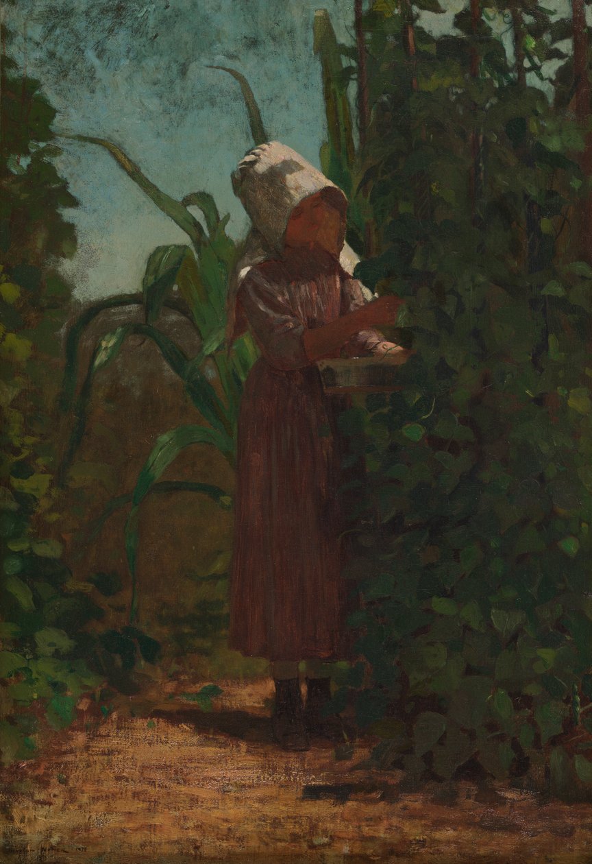 O colhedor de feijão de Winslow Homer