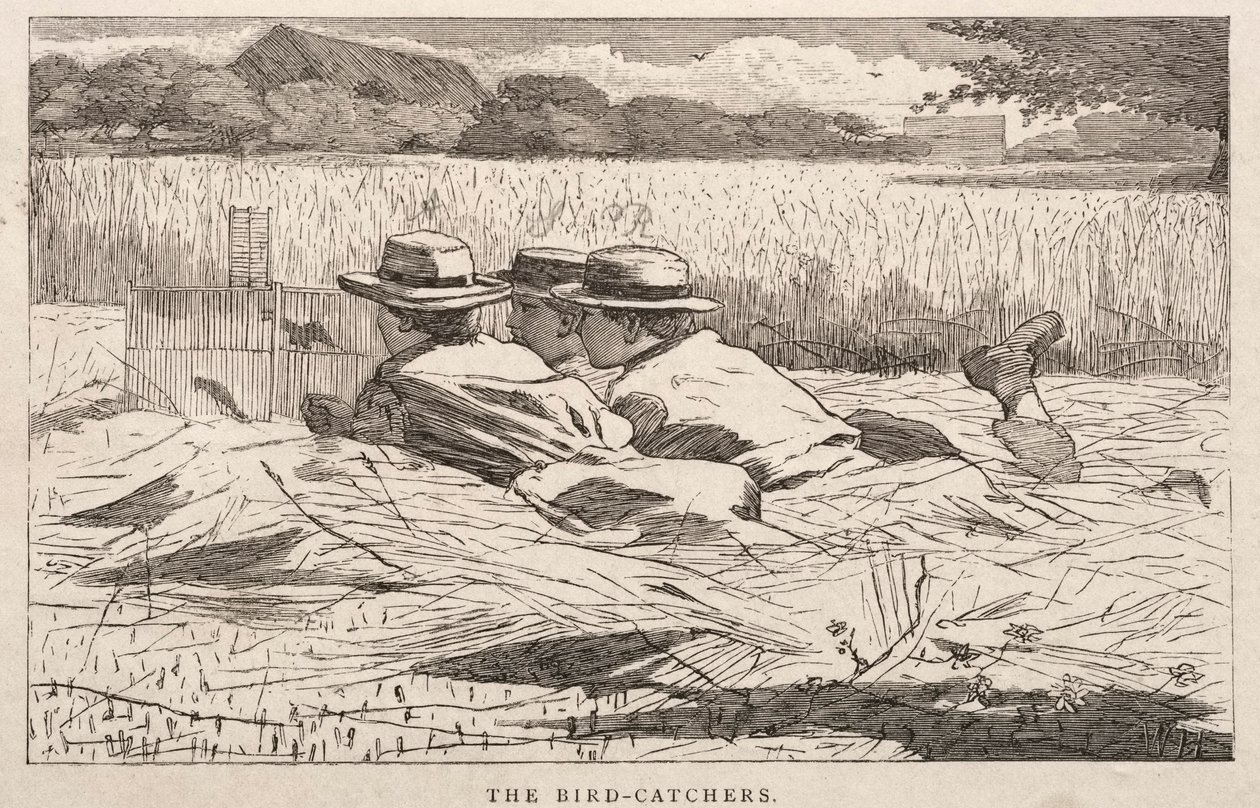 Os coletores de pássaros, 1867. de Winslow Homer