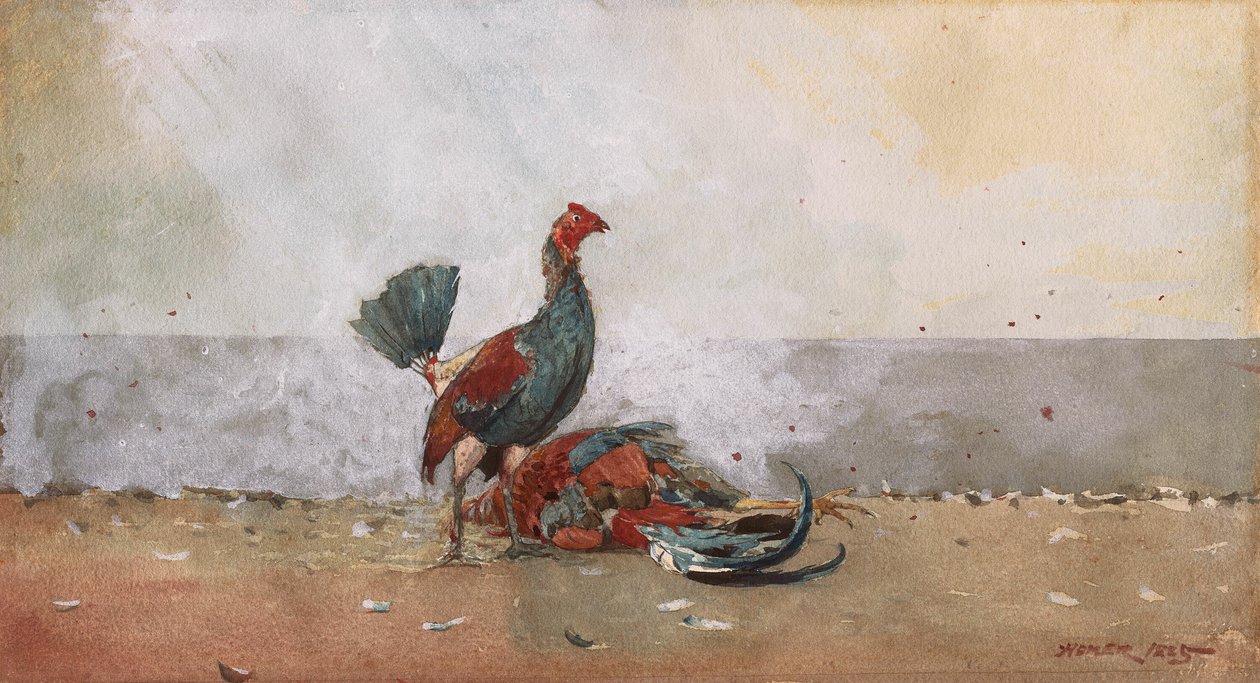 A briga de galo de Winslow Homer