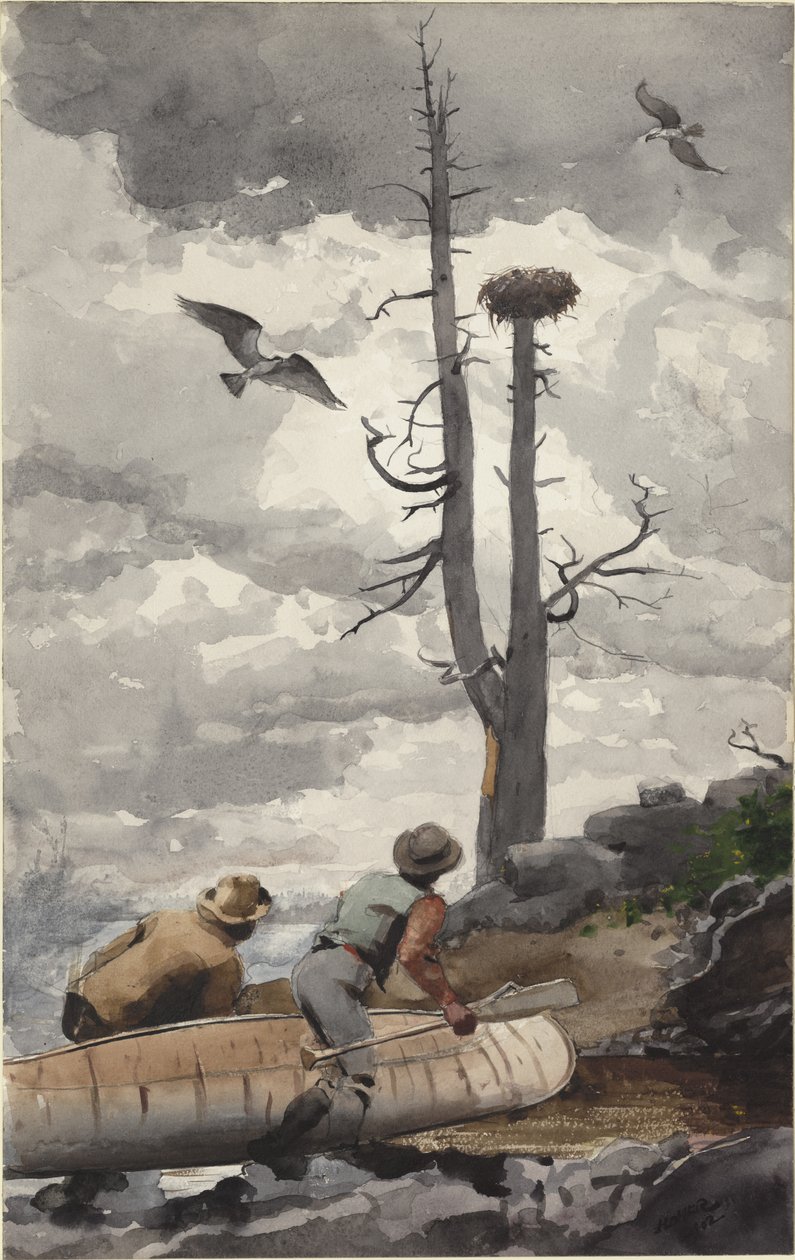 O Ninho da Águia de Winslow Homer