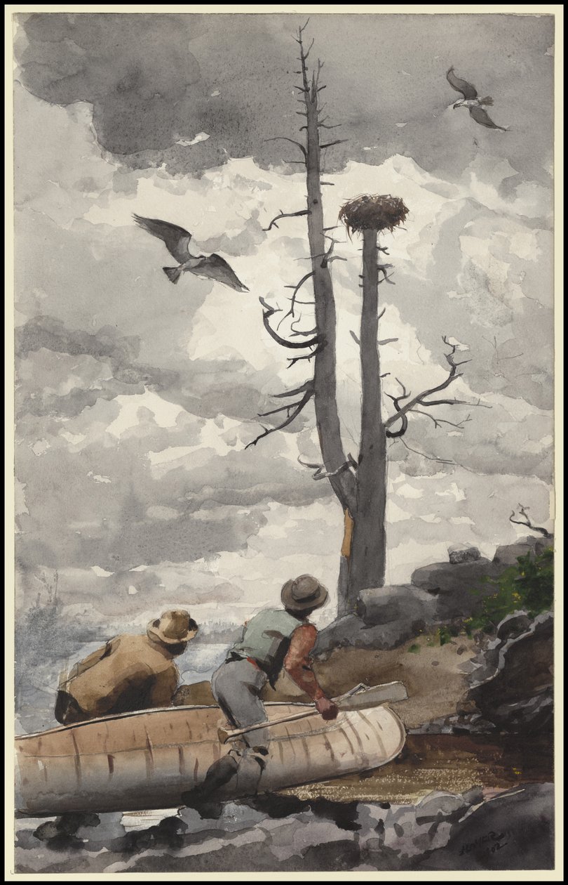 O ninho da águia, 1902 de Winslow Homer
