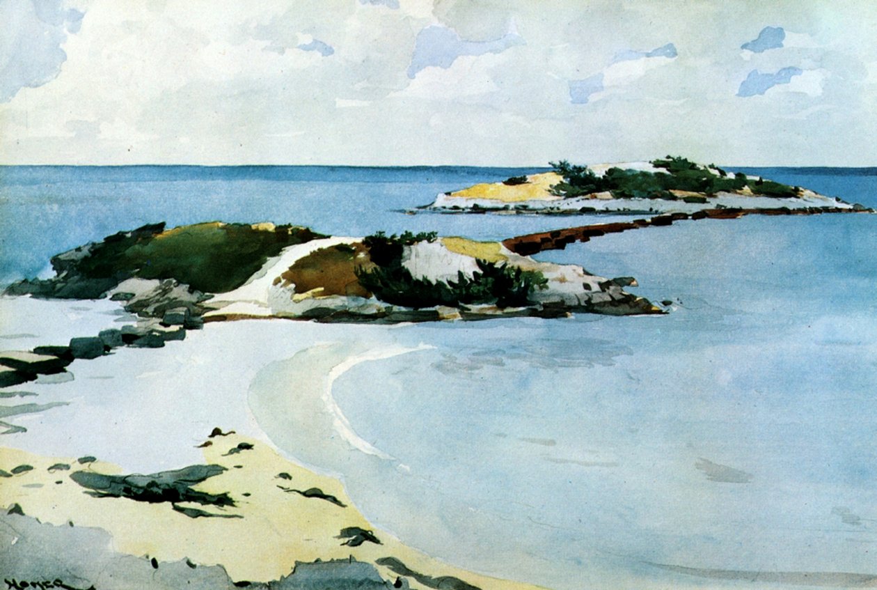 O favorito, 1899-1901 (wc e lápis no papel) de Winslow Homer