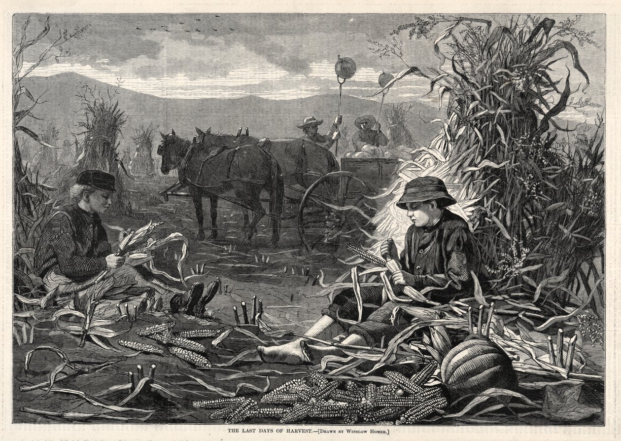 Os Últimos Dias da Colheita de Winslow Homer