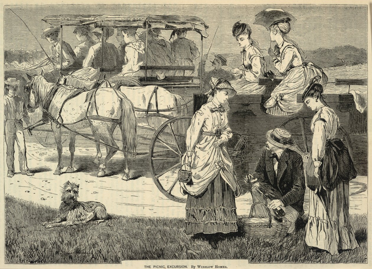 The Picnic Excursion, do Appletons