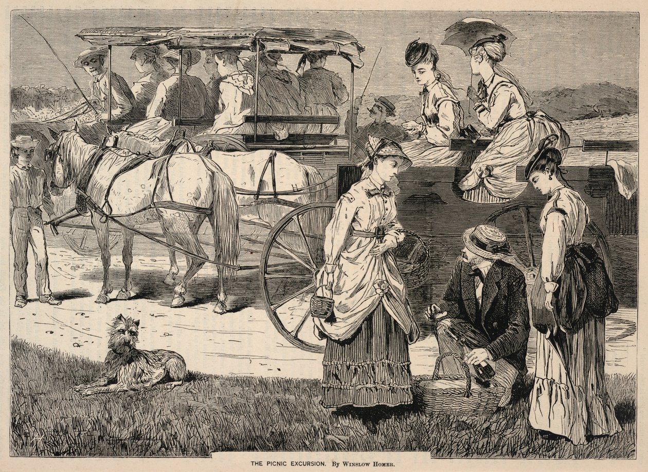 The Picnic Excursion, do Appletons