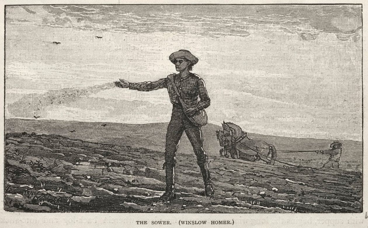 O Semeador de Winslow Homer