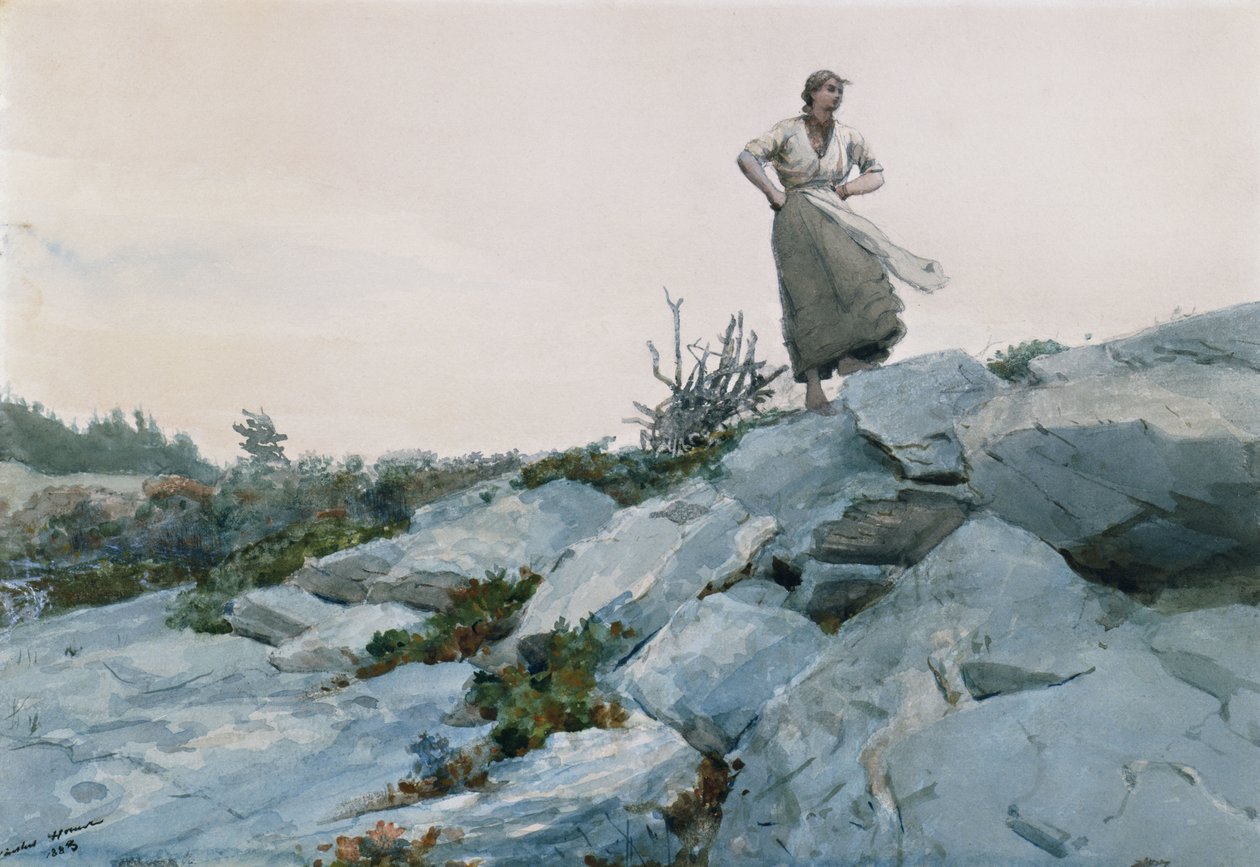 The Twigs Gatherer, 1883 de Winslow Homer