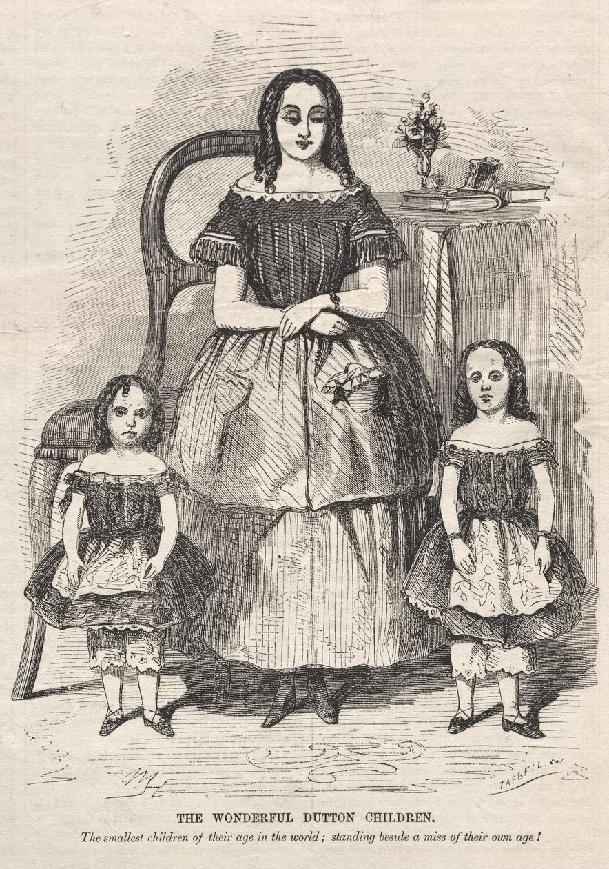 As Maravilhosas Crianças dos Dutton de Winslow Homer