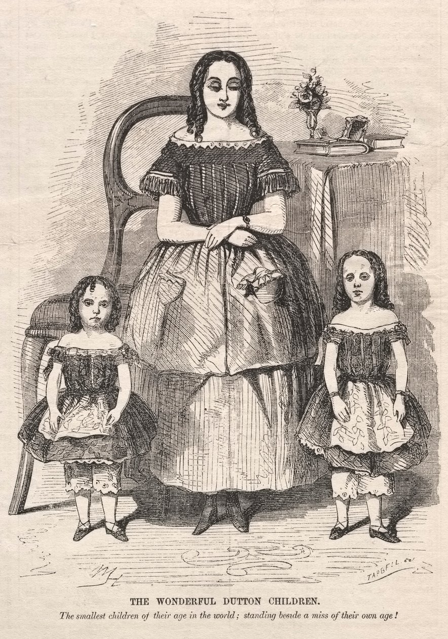 As Crianças Maravilhosas de Dutton, 1859. de Winslow Homer