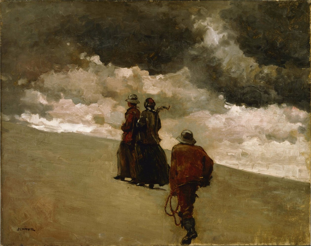 Ao resgate  de Winslow Homer