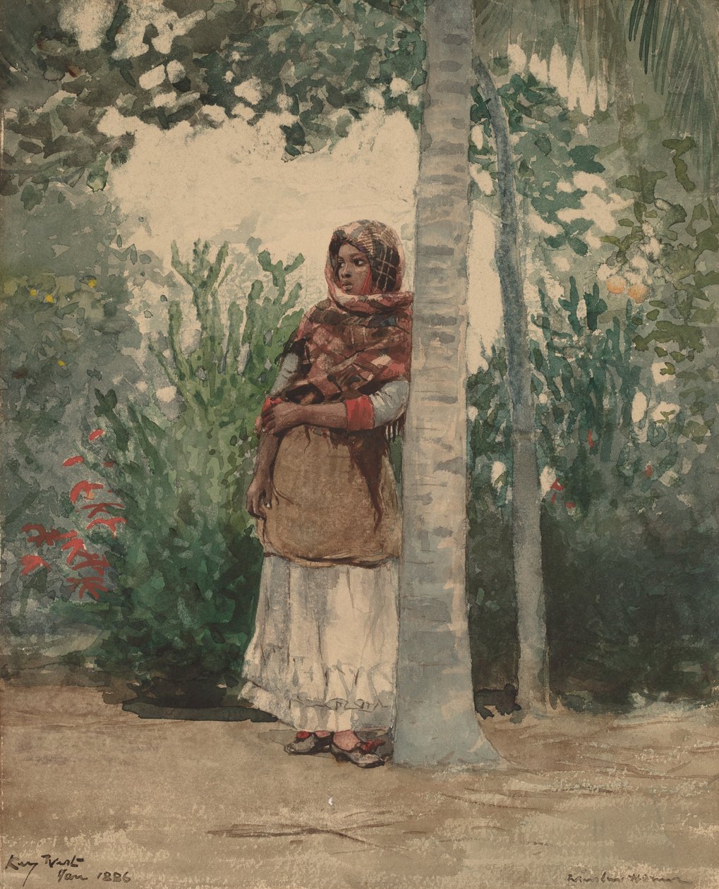 Debaixo de uma palmeira, 1886. de Winslow Homer
