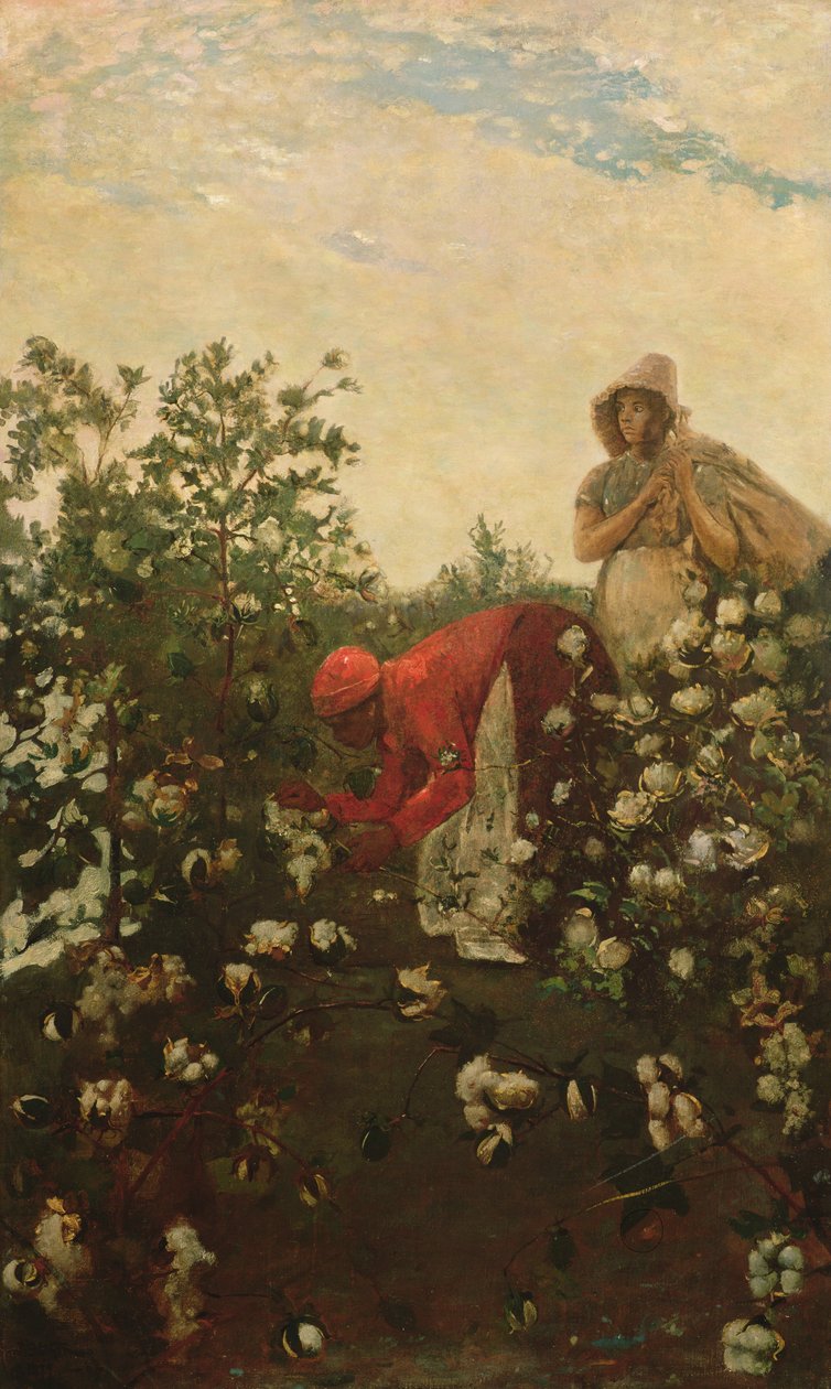 Algodão de Upland, 1875 de Winslow Homer