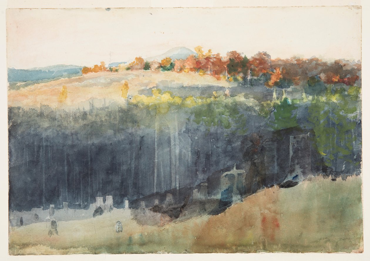 Vale e Encosta de Winslow Homer