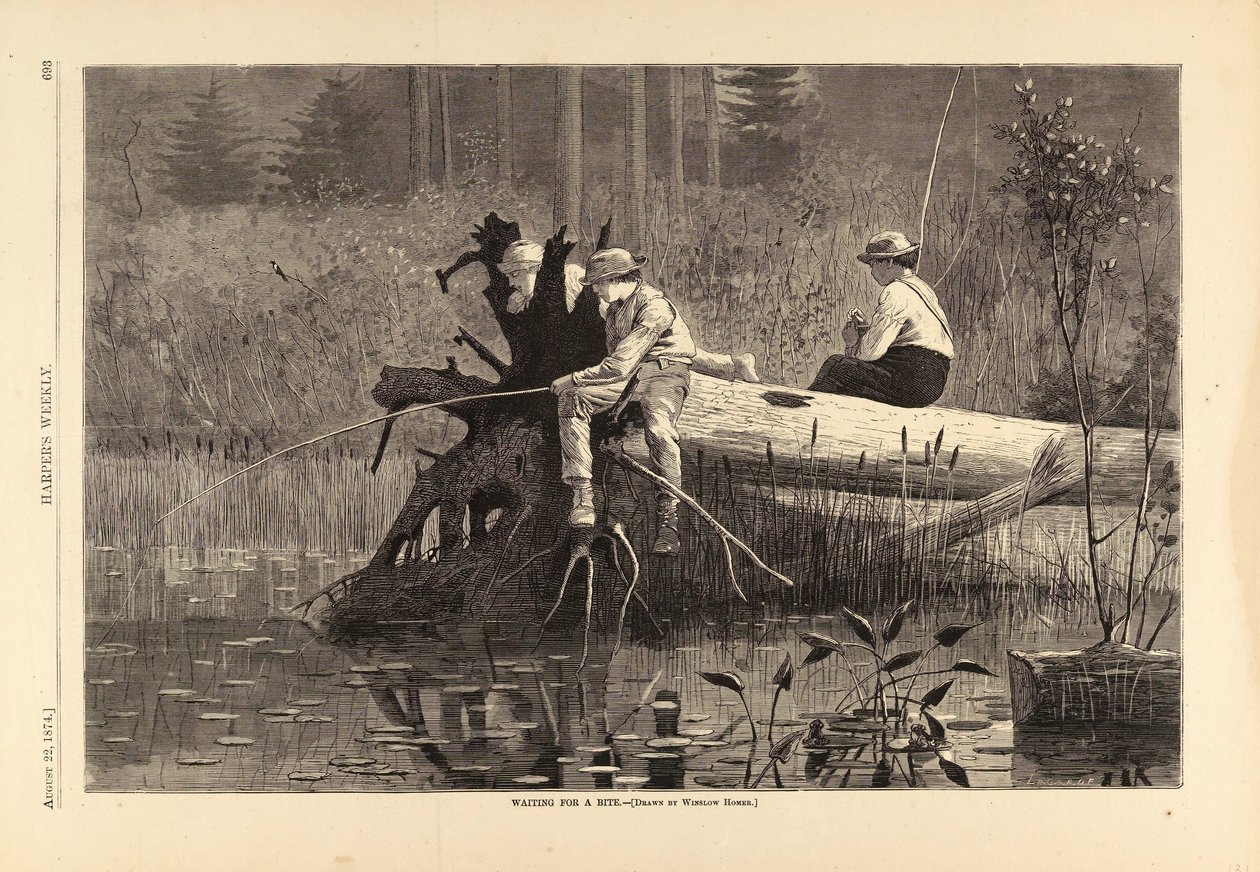 Waiting for a Bite, de Harper