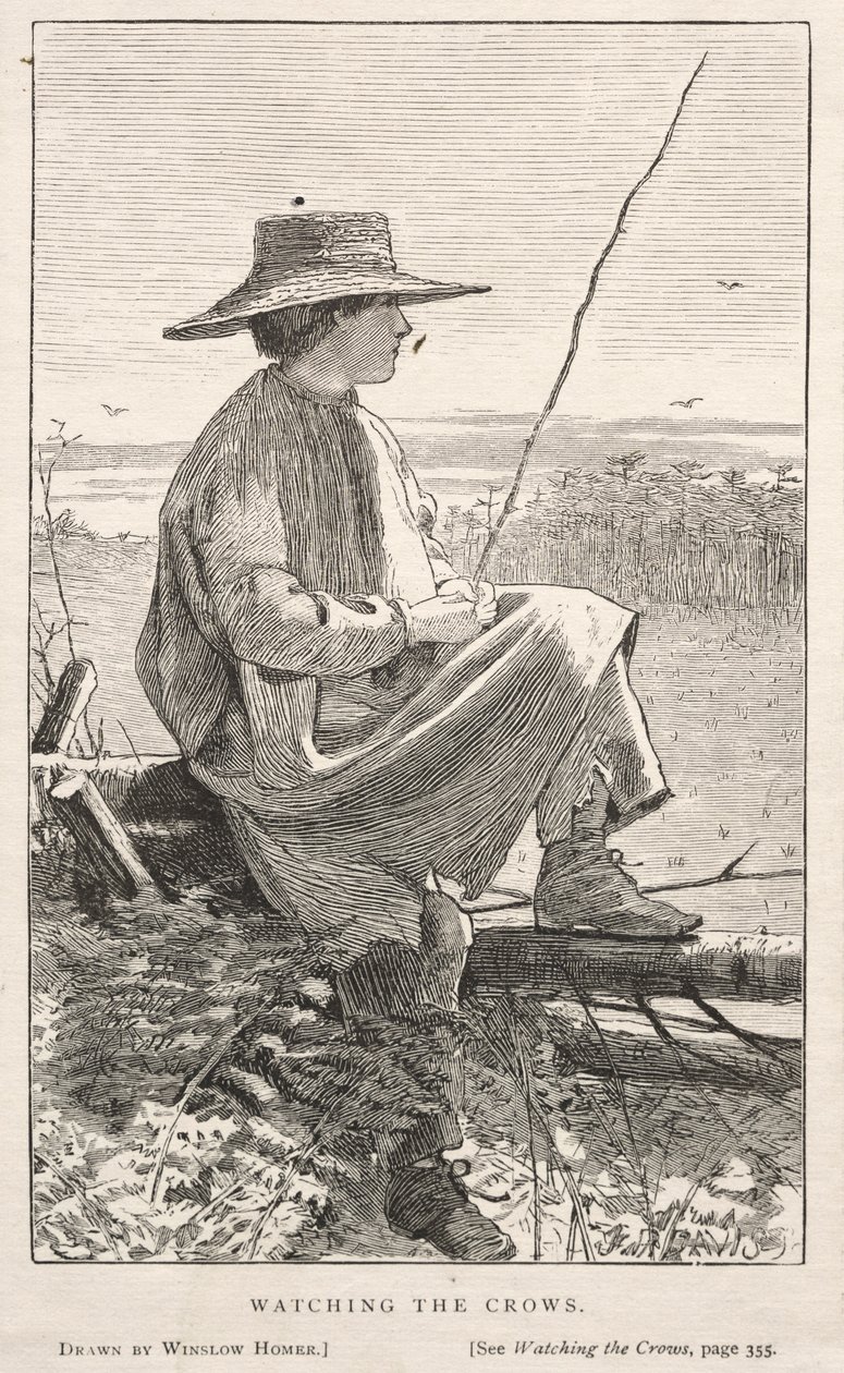 Observando os Corvos, 1868. de Winslow Homer