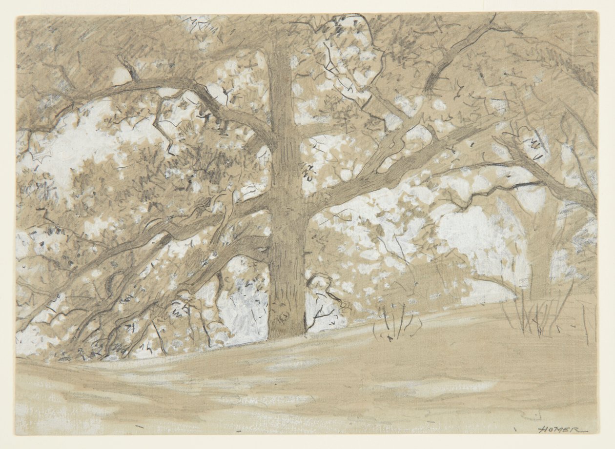 Carvalhos Waverly de Winslow Homer