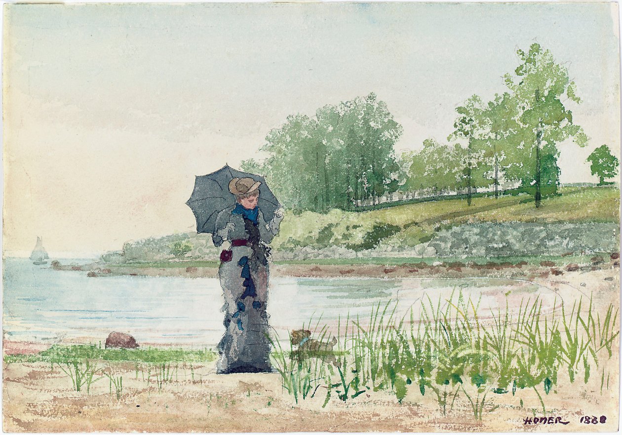 Jovem, 1880 de Winslow Homer