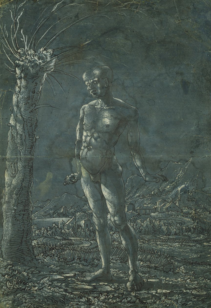 Homem nu em pé em uma paisagem, c.1512 (caneta e tinta preta com destaque branco no papel) de Wolf Huber