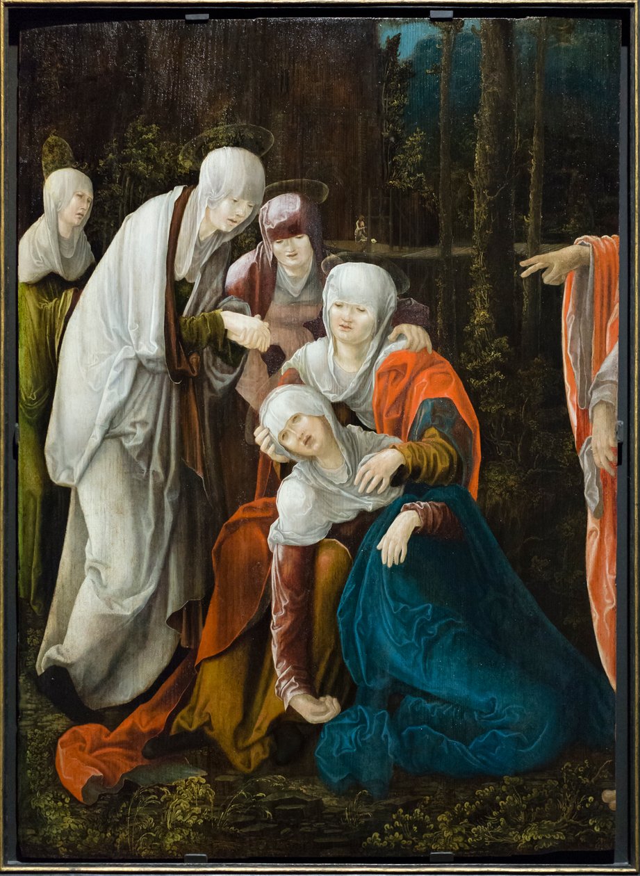 Cristo despedindo-se de sua mãe, c.1520 (óleo sobre abeto) de Wolf Huber