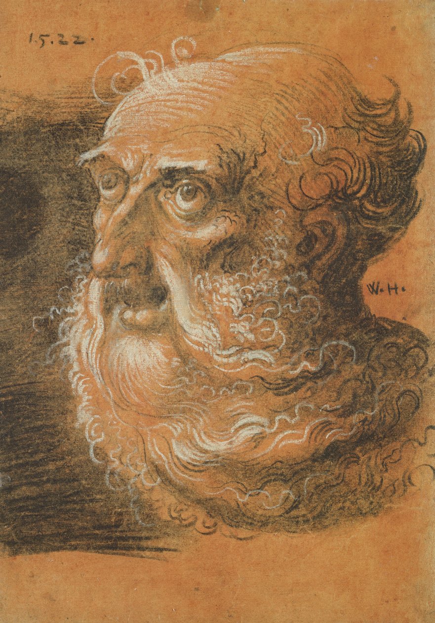 Estudo da Cabeça, 1522 (carvão e giz branco sobre papel) de Wolf Huber