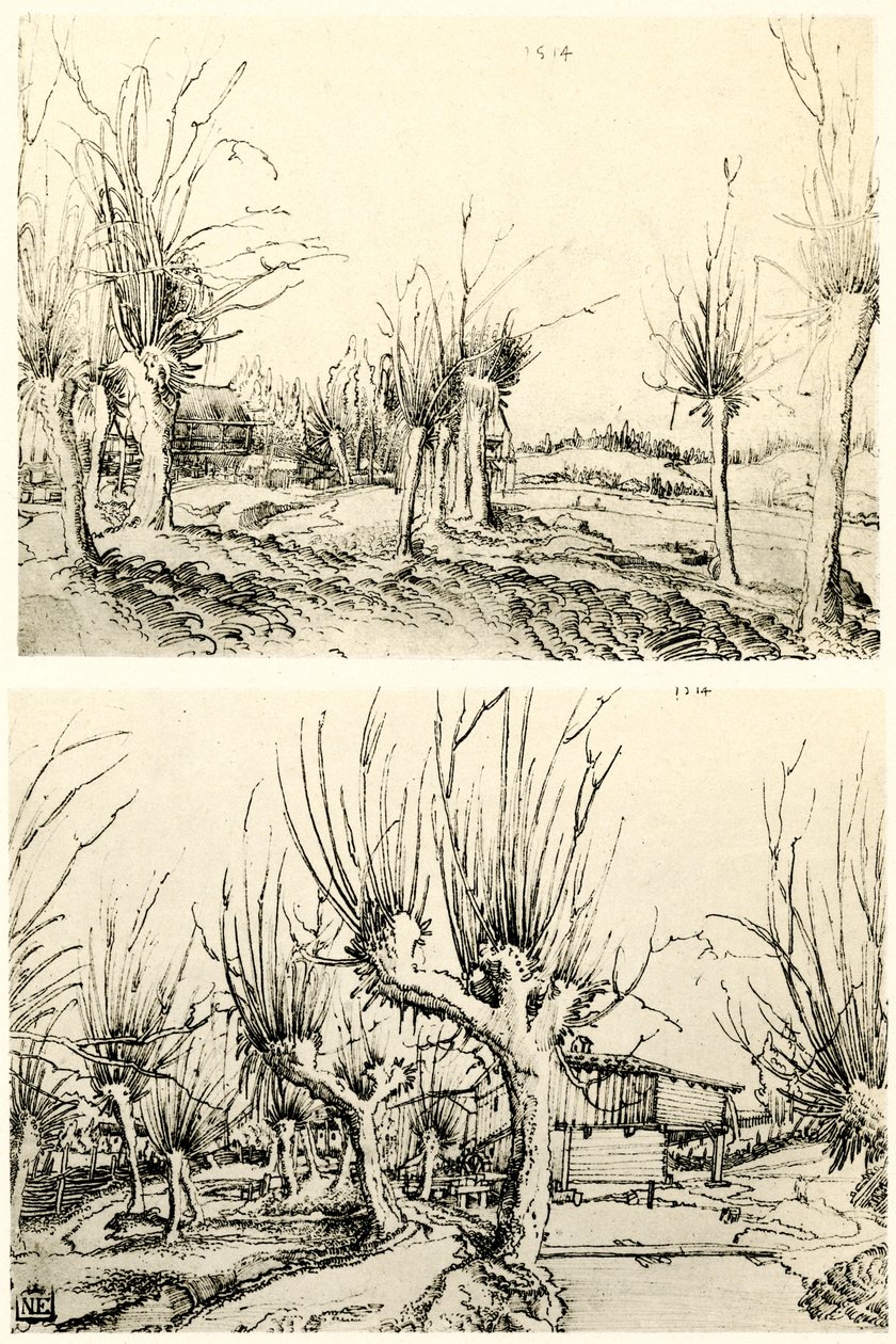 Paisagens com árvores de salgueiro de Wolf Huber