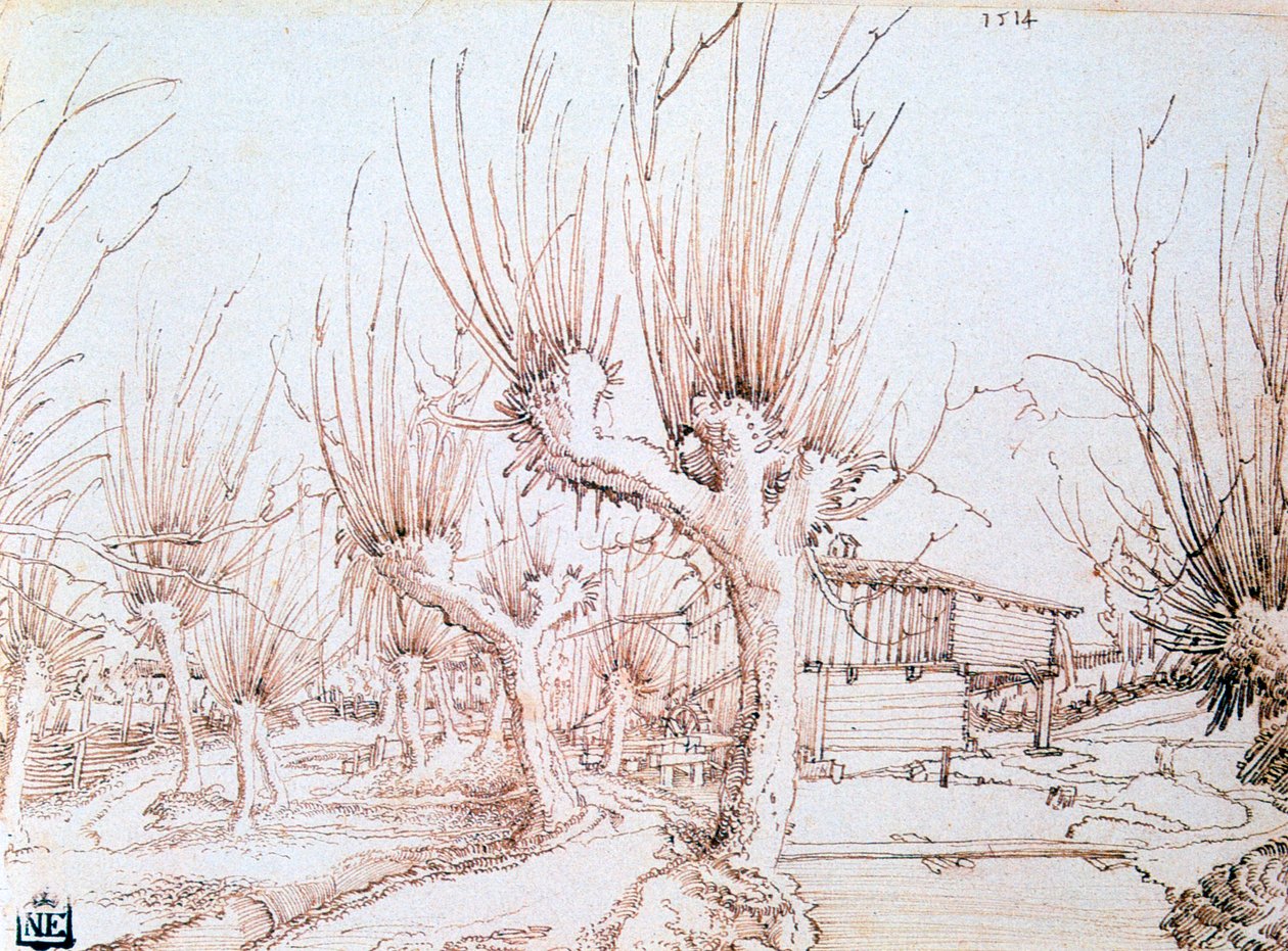 "Plantação de salgueiro", 1514 de Wolf Huber