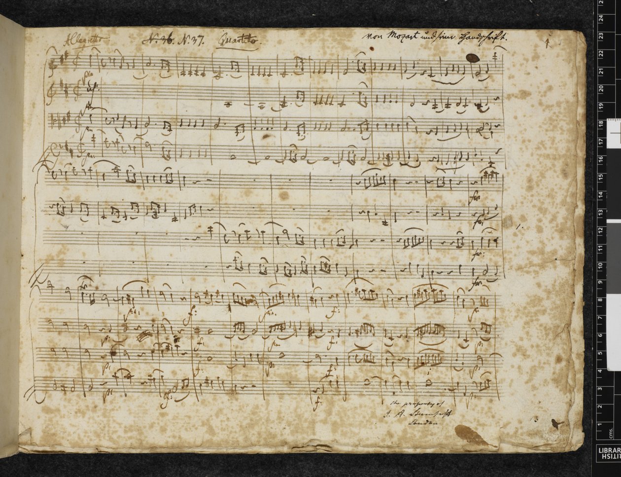Adicionar MS 37764 f.1 Quarteto de cordas em ré maior, K. 499 de Wolfgang Amadeus Mozart