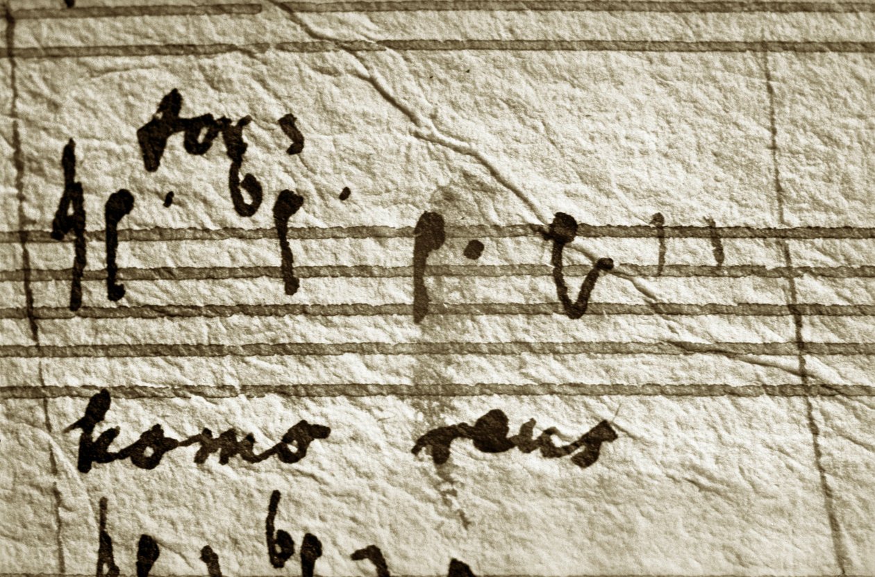 "Working score" do requiem de Wolfgang Amadeus Mozart (partitura) de Wolfgang Amadeus Mozart