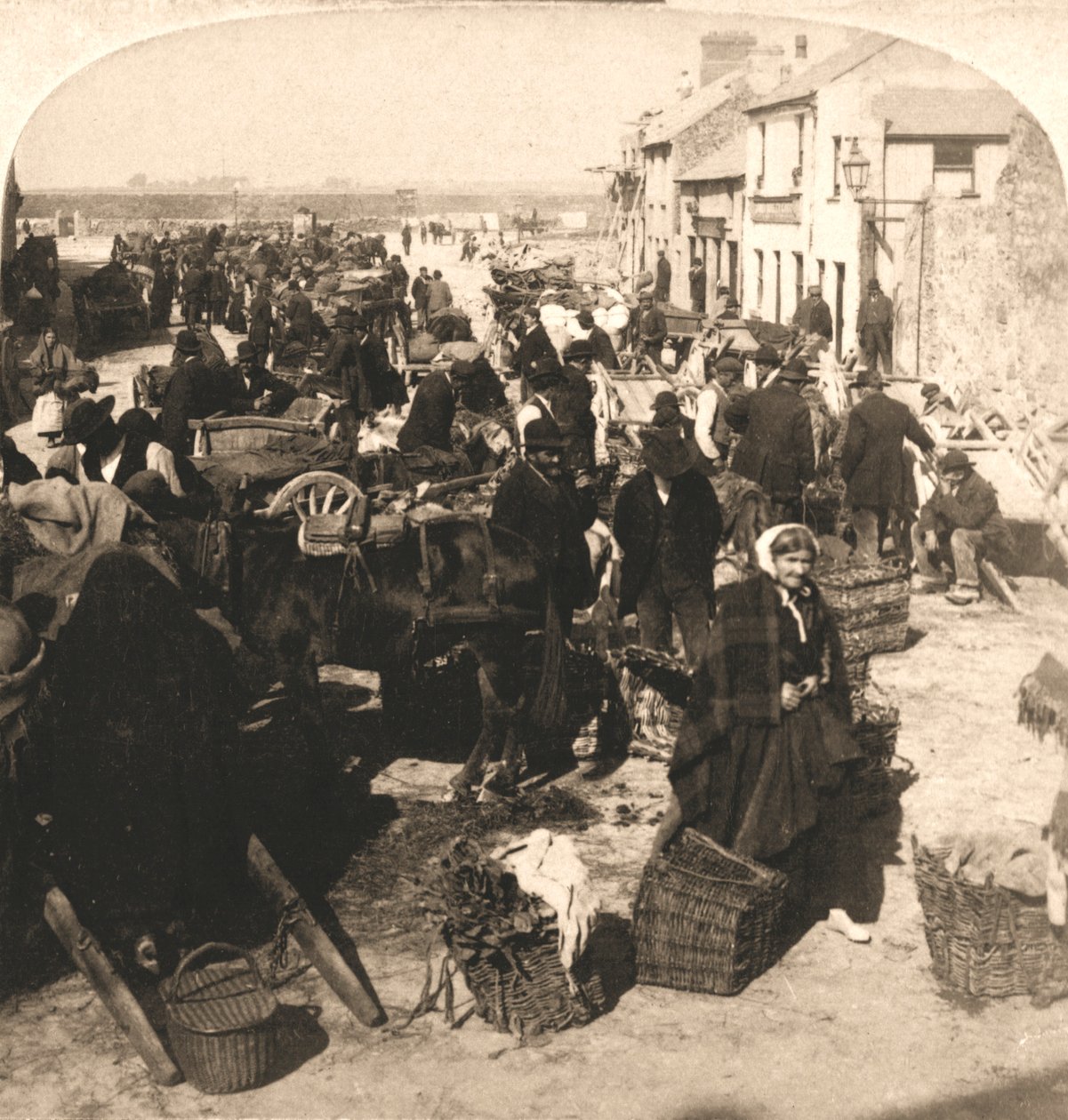 Vendendo o Irishmans Staff of Life, o Mercado de Batatas, Galway, Irlanda, 1901. de Works and Sun Sculpture Studios