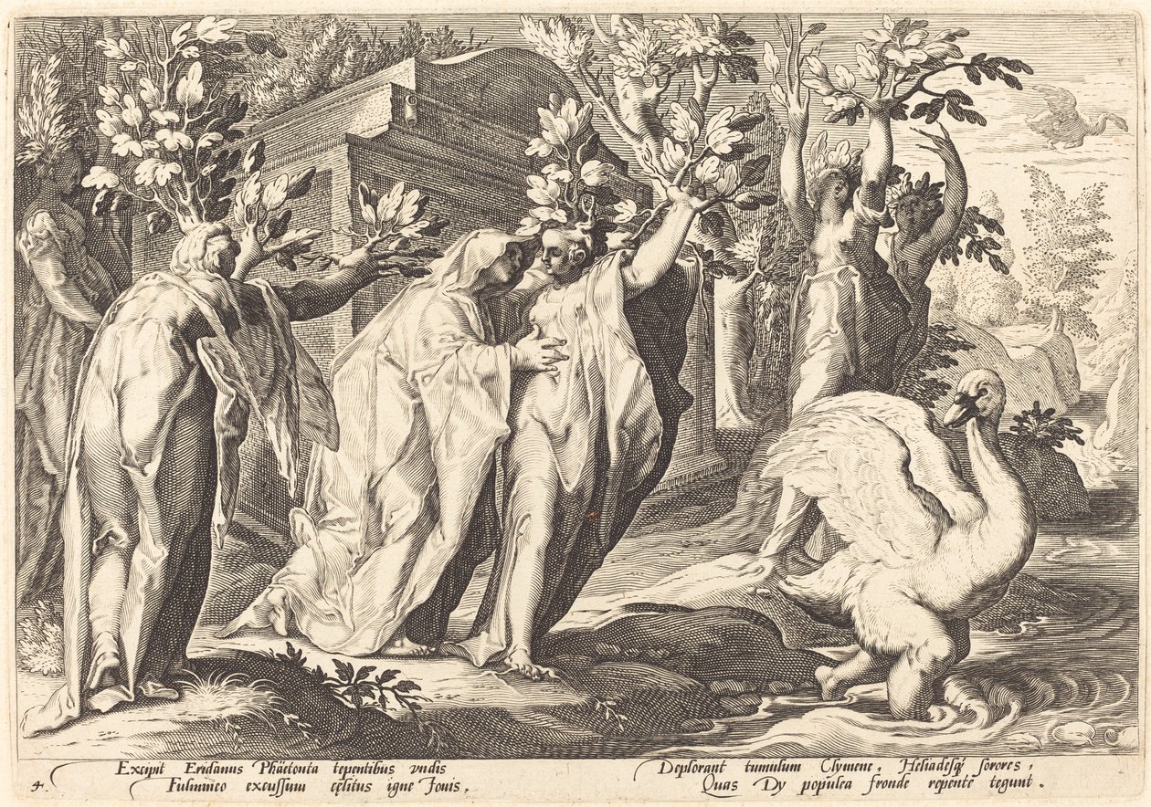 As irmãs de Phaeton se transformaram em álamos, Cygnus em um cisne de Workshop of Hendrick Goltzius, after Hendrick Goltzius
