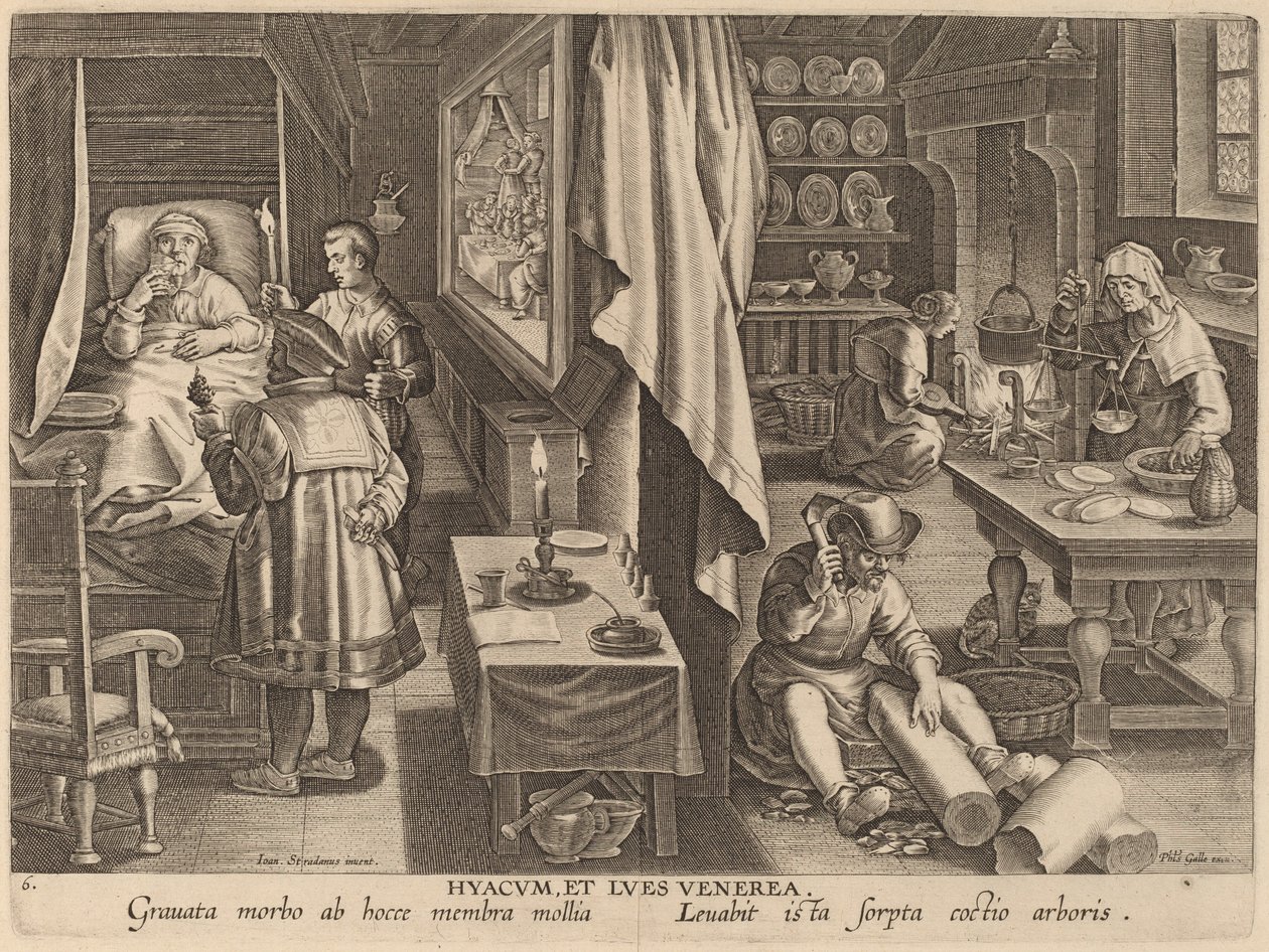 Hyacum e Lues Venerea (Guaiacum e infecção venérea) de Workshop of Philip Galle after Jan van der Straet