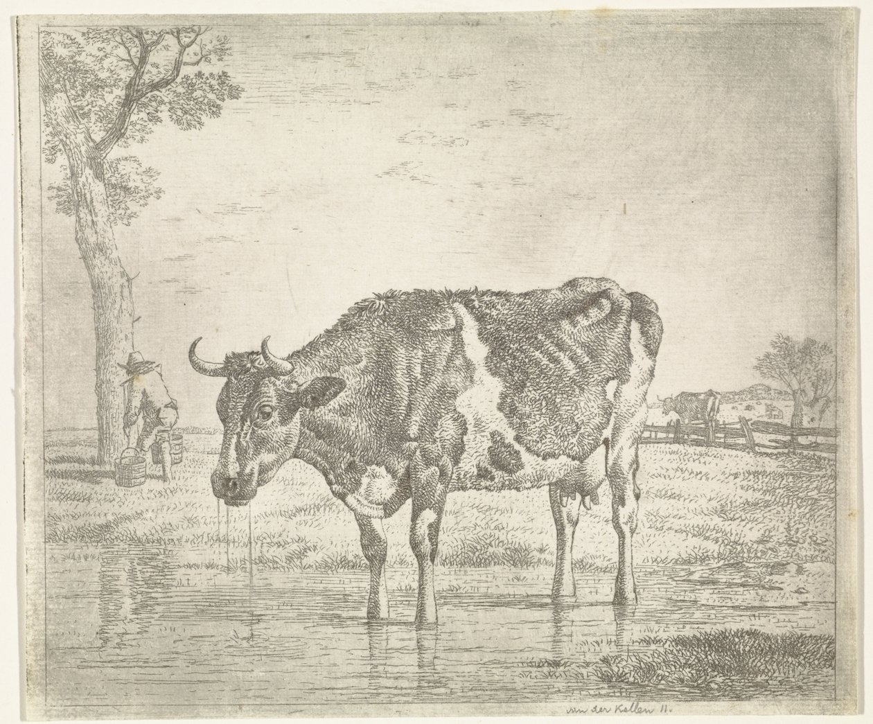 vaca bebendo de Wouter Johannes van Troostwijk