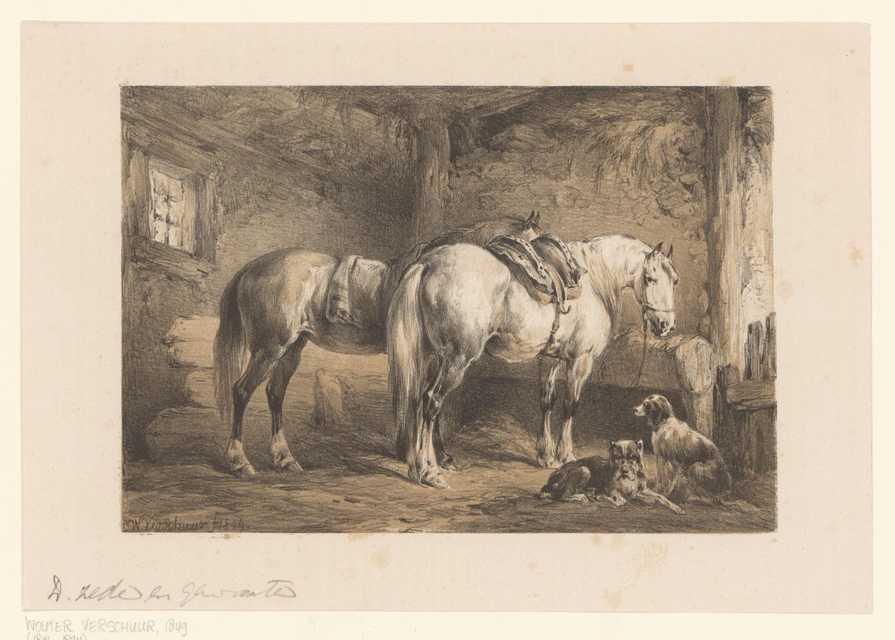 Dois cavalos e cães num estábulo de Wouter  Verschuur