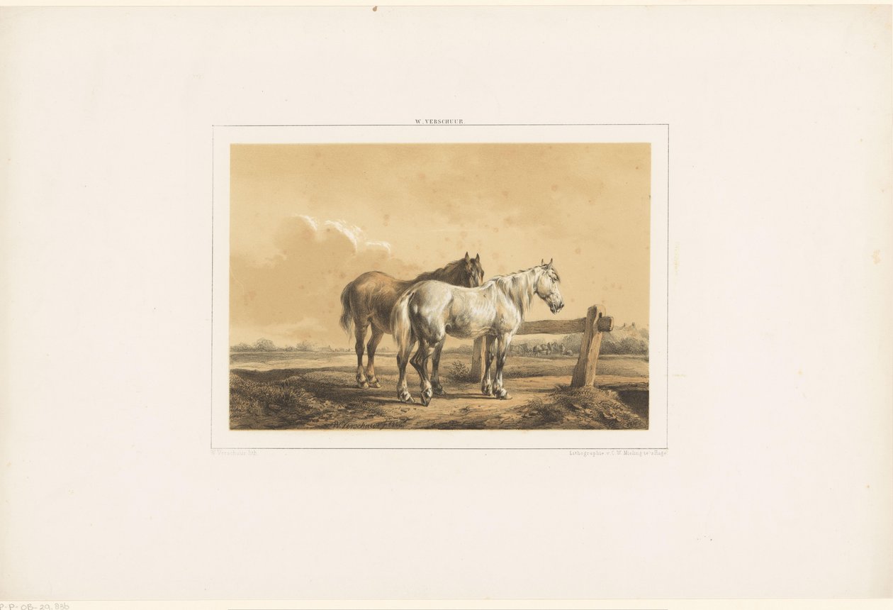 Dois cavalos em um prado perto de uma cerca de Wouter  Verschuur