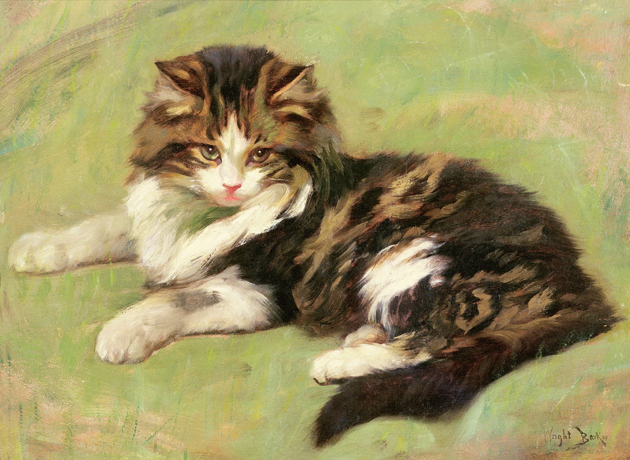 Em repouso de Wright Barker