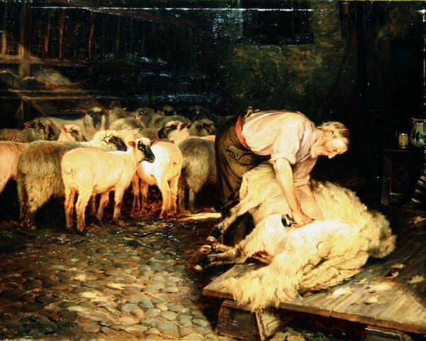 O Tosquiador (óleo sobre tela) de Wright Barker