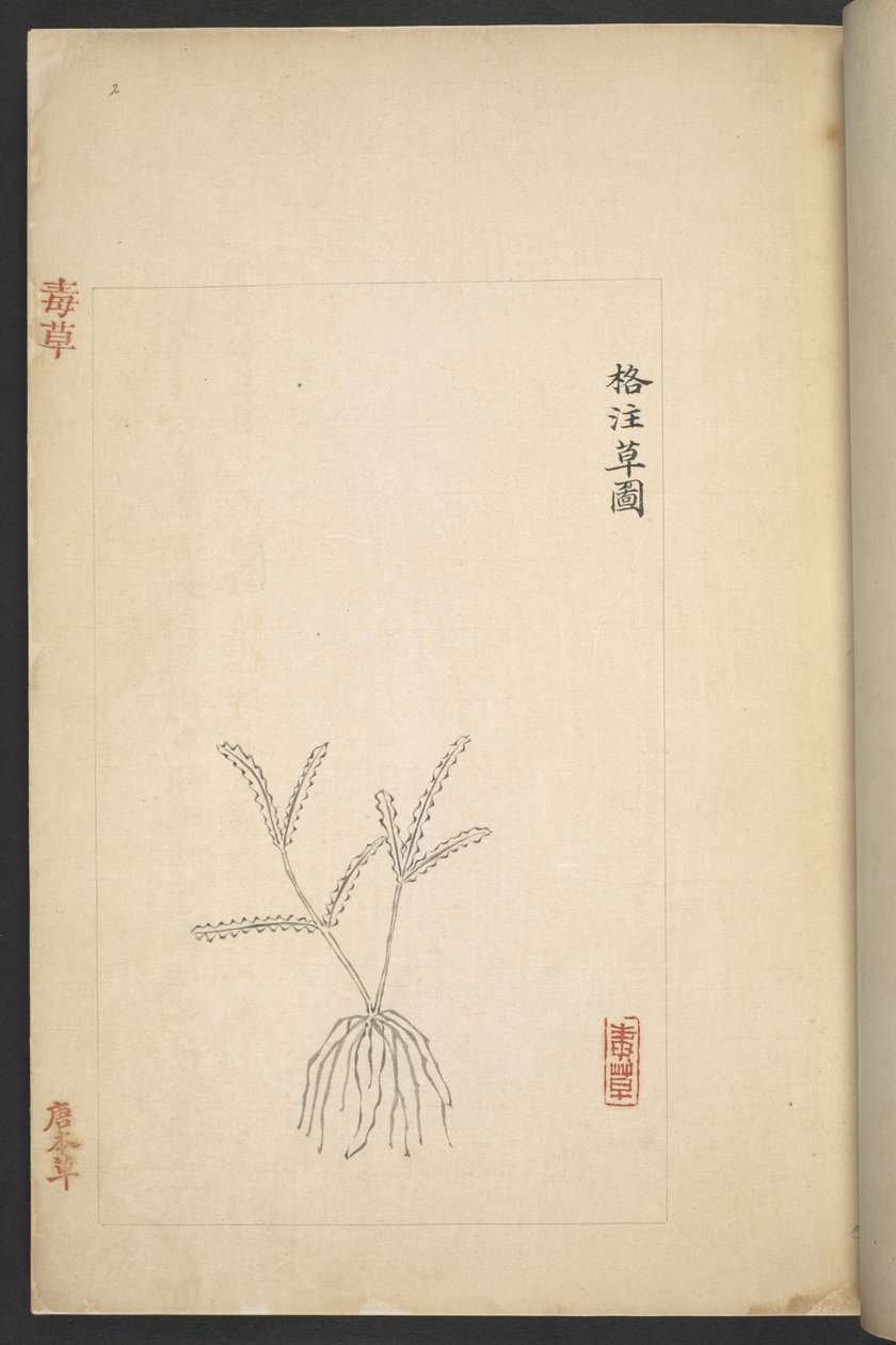 Ou 13347 B f.2r Plano de 