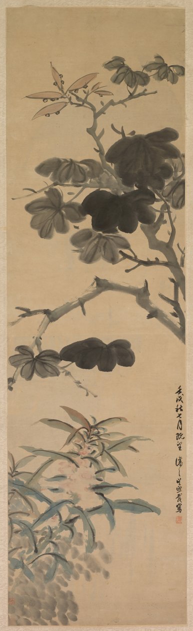 Plantas floridas de Wu Rangzhi