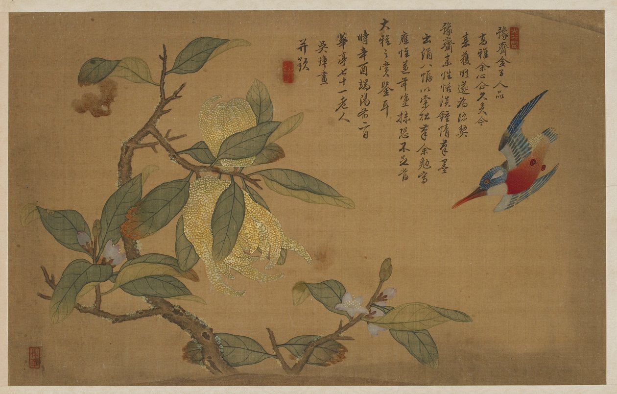 Pássaros, frutas e flores de Wu Zhang