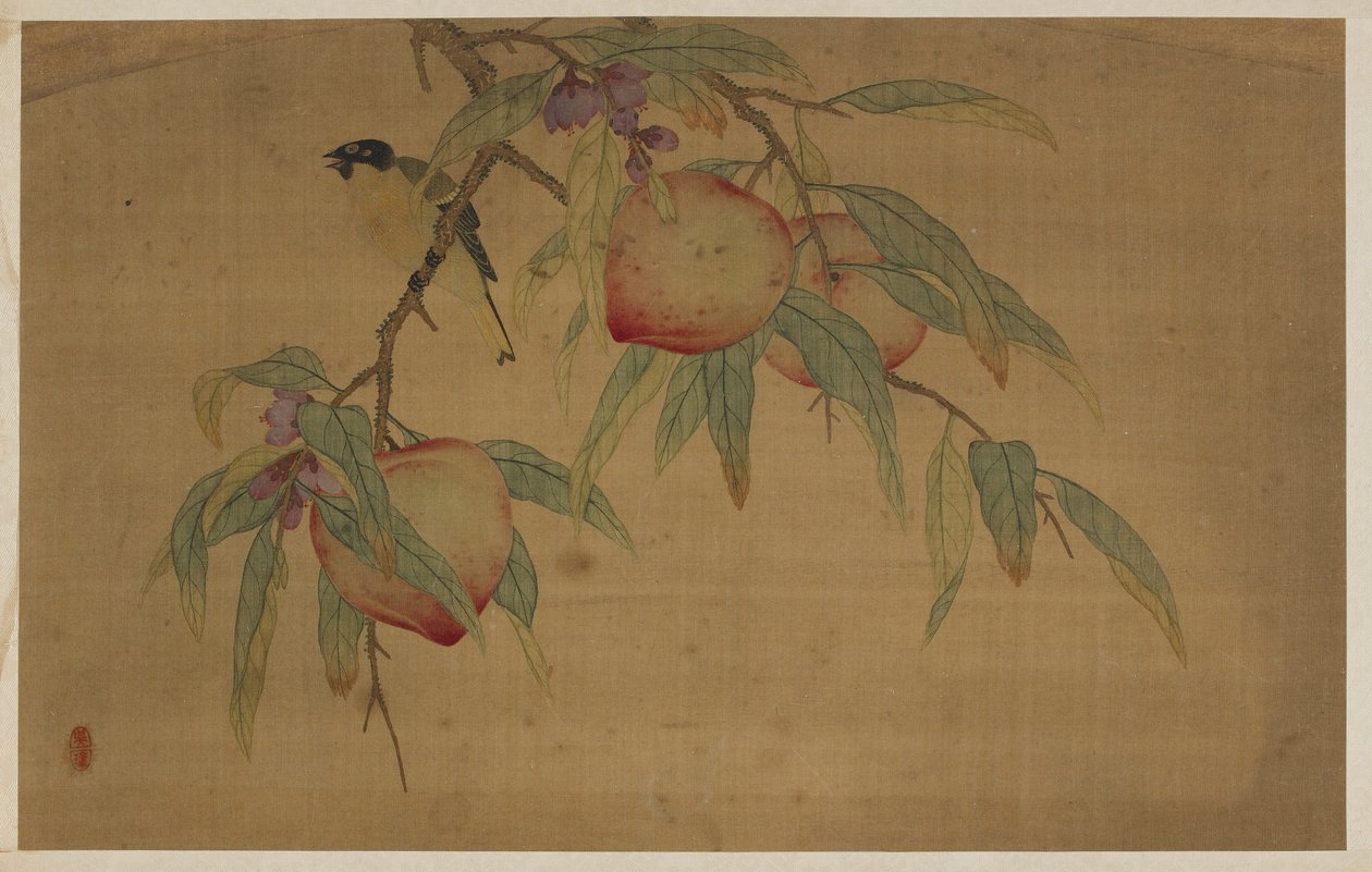 Pássaros, frutas e flores de Wu Zhang