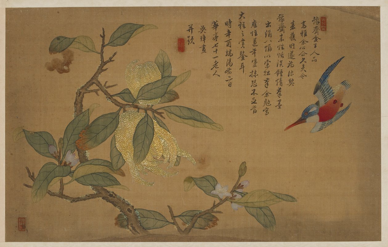 Bird, Fruit, and Flowers, Qing dynasty, 1741. de Wu Zhang