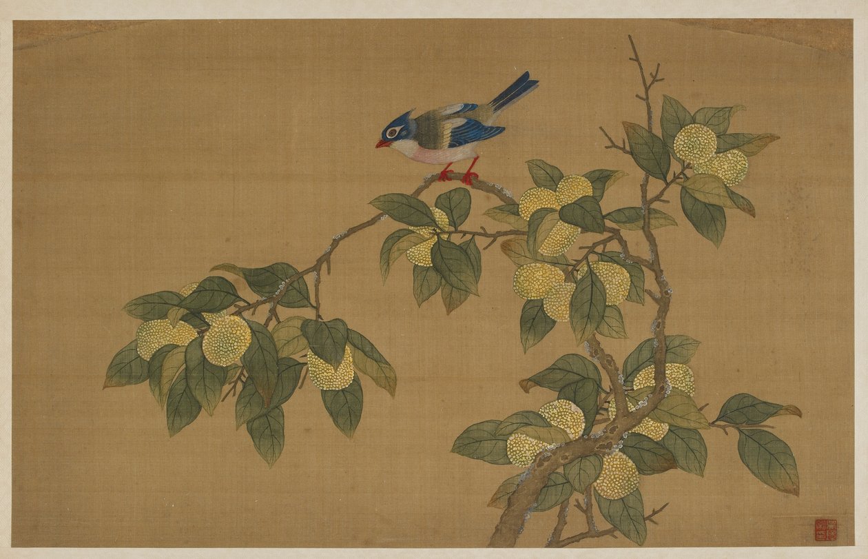 pássaro e frutas de Wu Zhang